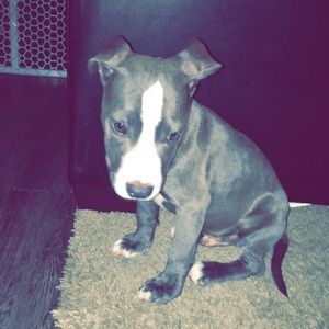 Meet your Posher, Kris